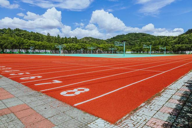 完美体育塑胶跑道平整度合格率(图3)