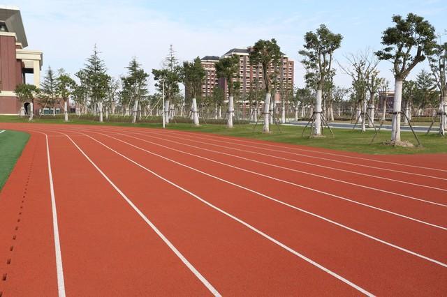 混合型塑胶跑道和透气型塑胶跑道施工区别(图4) 混合型塑胶跑道和透气型塑胶跑道施工区别(图4)