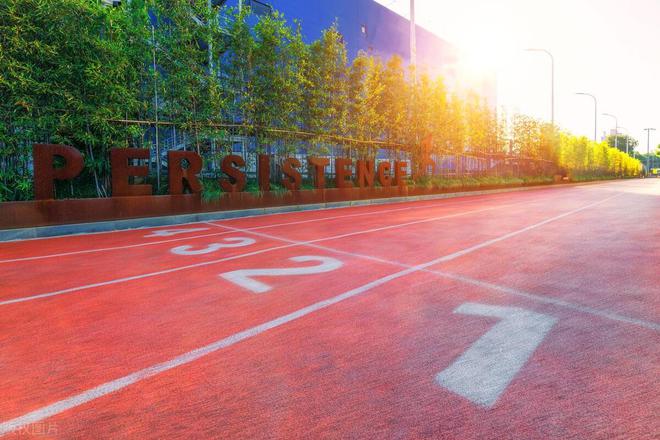 彩色沥完美体育青跑道和塑胶跑道的差别(图7)